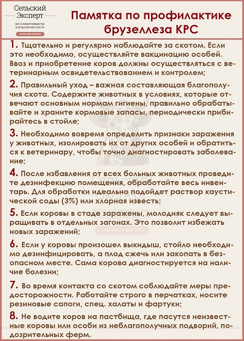 197559д