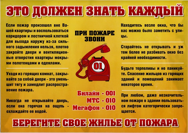 hikqo 2