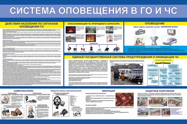 hlo2020 6