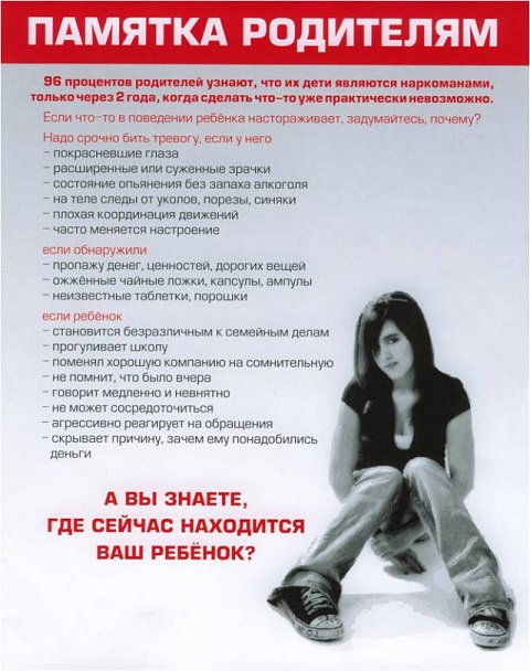buklet spice 5