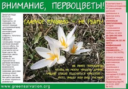 info 2