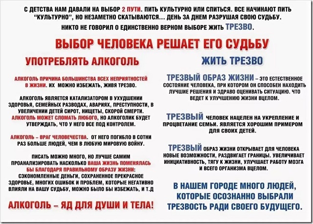 trezv 2019 11 12