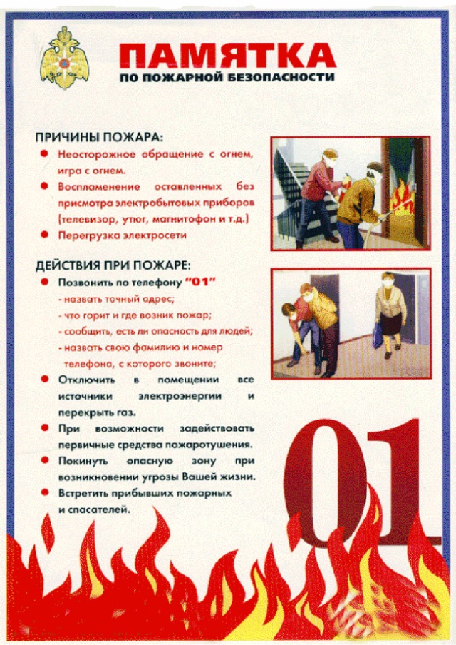 201909113