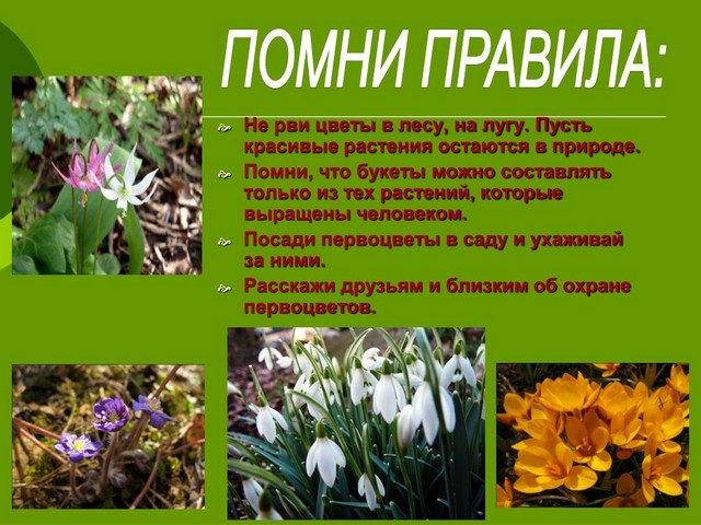 foto 0503 1