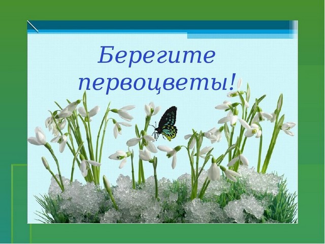 foto 0503 2