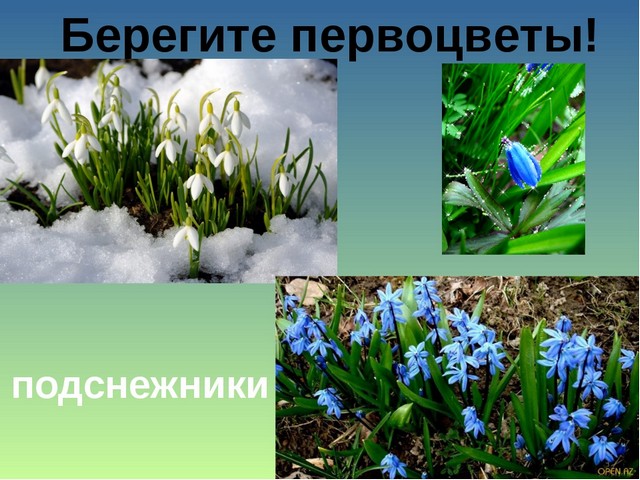 foto 0503 3