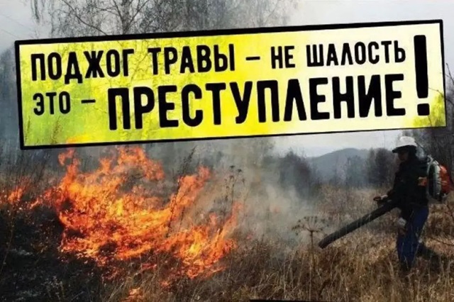 info 1303