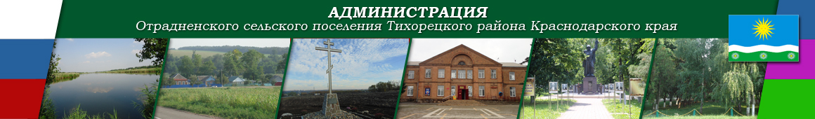 shapka